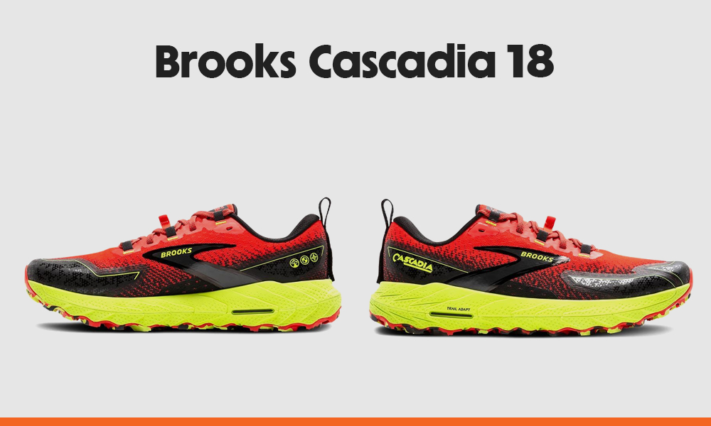 avis-Brooks-Cascadia-18