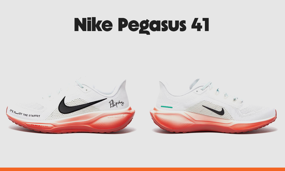 avis-Nike-Pegasus-41