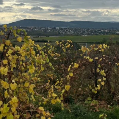 La Brayaude de l'Espoir 2026