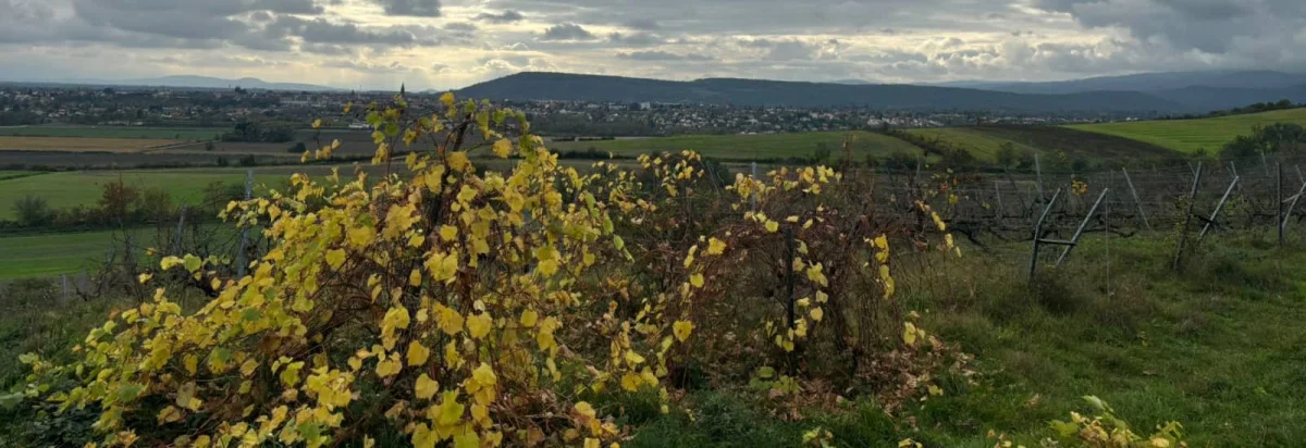 La Brayaude de l'Espoir 2026