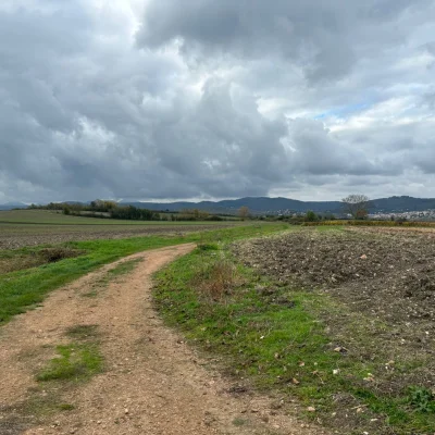 La Brayaude de l'Espoir 2026 - Photo 1