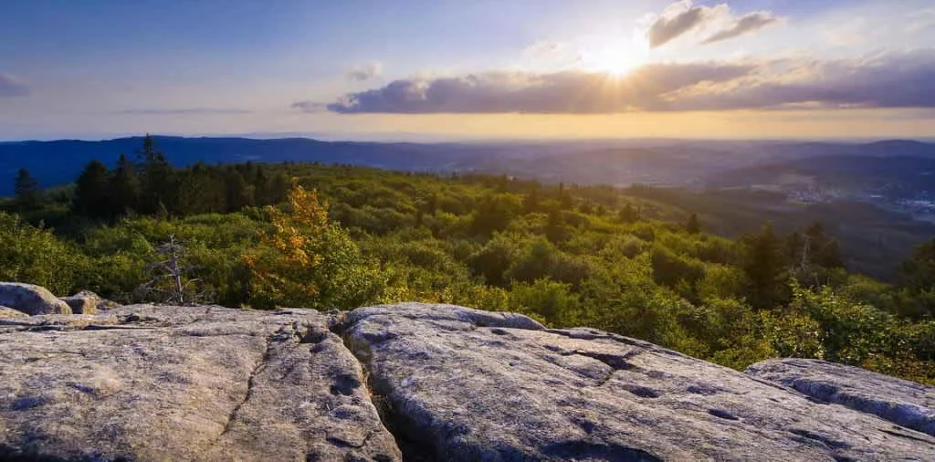 Trail du Sanglier 2026