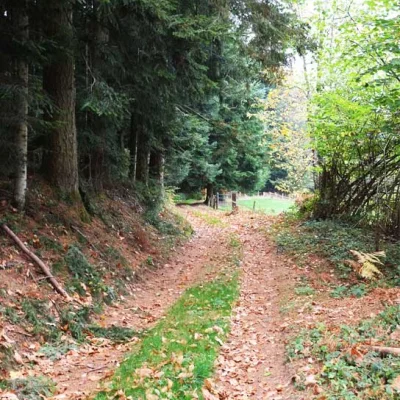 Trail du Sanglier 2026 - Photo 1