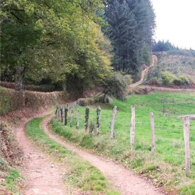 Trail du Sanglier 2026 - Photo 4