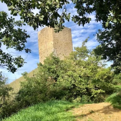 Trail de la Tour 2026 - Photo 20