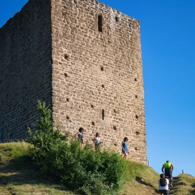 Trail de la Tour 2026 - Photo 7