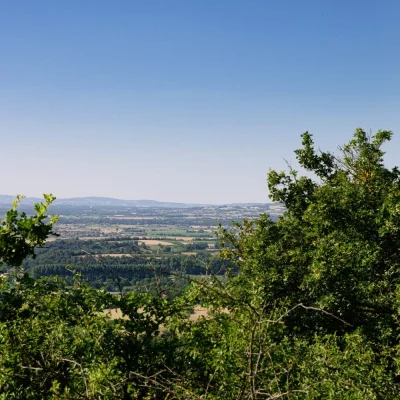 Trail de la Tour 2026 - Photo 8