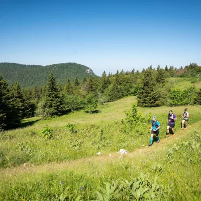 Le Sentier des Ours 2026 - Photo 10