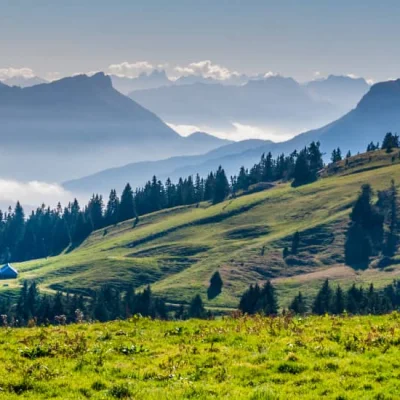 Trail de La Fleur du Roy 2026
