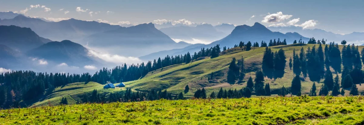 Trail de La Fleur du Roy 2026