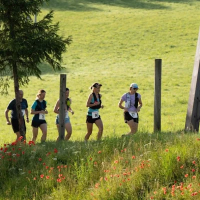 Trail de La Fleur du Roy 2026 - Photo 7