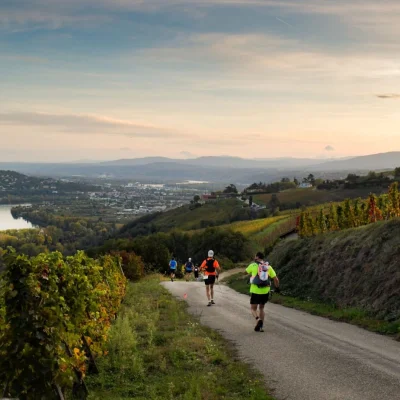 Trail en Côte-Rôtie 2026 - Photo 2