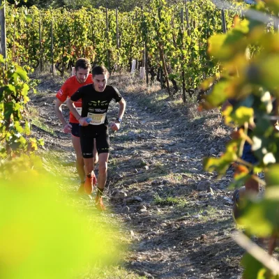 Trail en Côte-Rôtie 2026 - Photo 6
