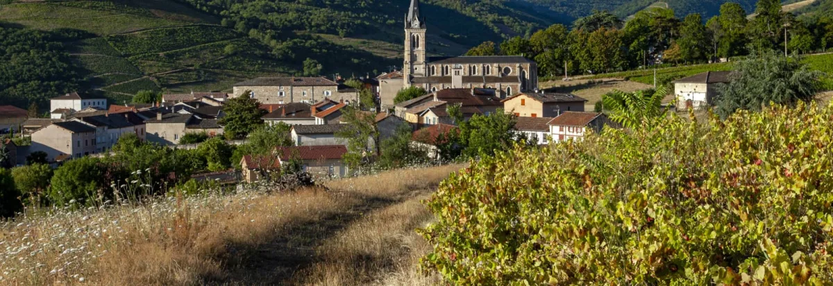Trail des Grisemottes 2026