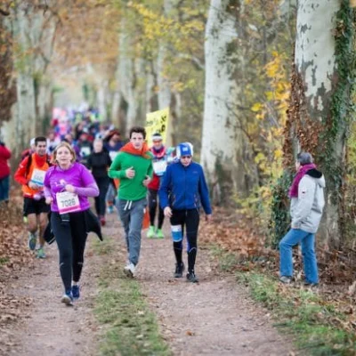Marathon International du Beaujolais 2026 - Photo 7