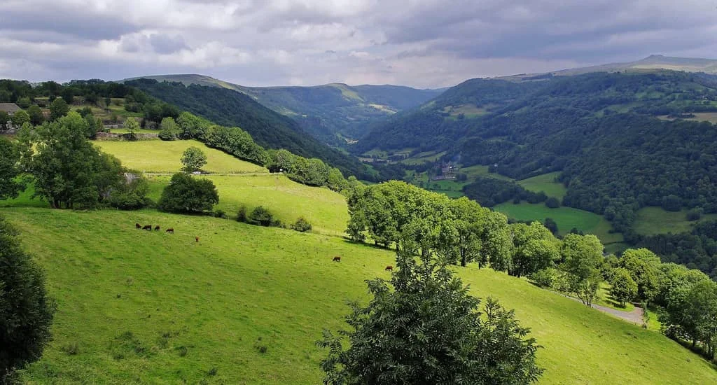 Trail Hivernal du Haut Cantal 2026
