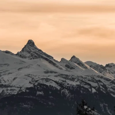 La Massingienne 2026