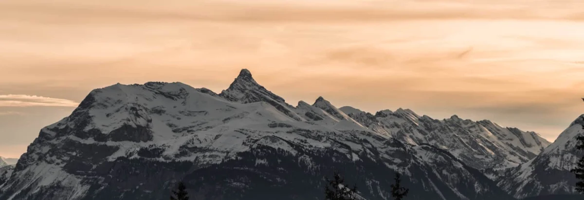 La Massingienne 2026