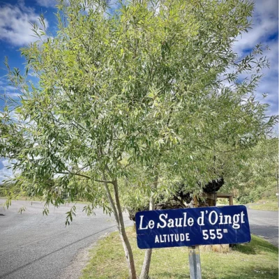 La TCN by Night 2026 - Photo 2