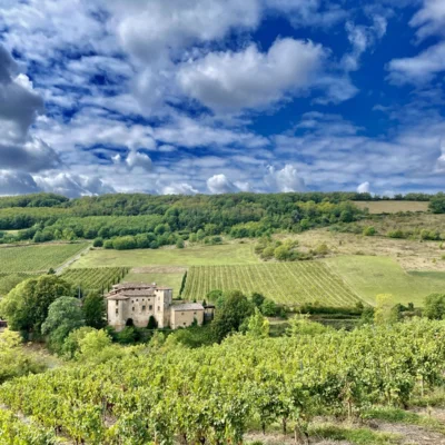 La TCN by Night 2026 - Photo 4