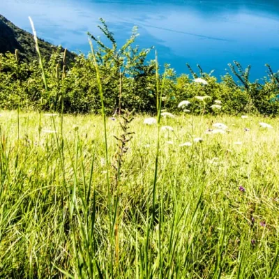 10 Km d'Aix-les-Bains 2026