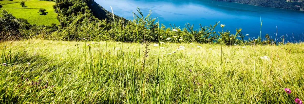 10 Km d'Aix-les-Bains 2026