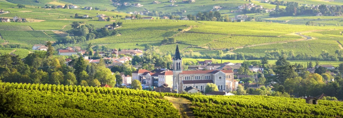 Trail de l'Abbaye de Savigny 2026