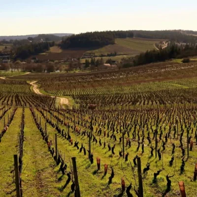 Marathon des Vins de la Côte Chalonnaise 2026