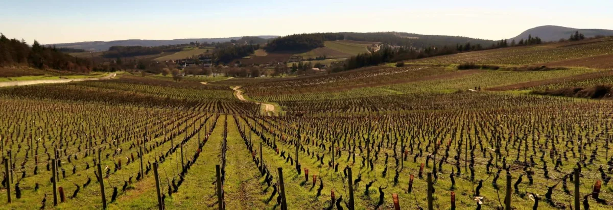 Marathon des Vins de la Côte Chalonnaise 2026