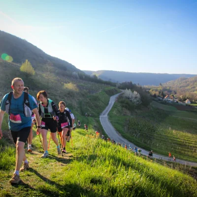 Trail des Reculées 2026 - Photo 4