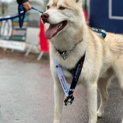 Canicross La Croquette 2026 - Photo 2