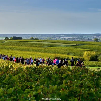 La Pouilly-Sancerre 2026 - Photo 6