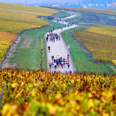 Marathon de Chablis 2026 - Photo 1