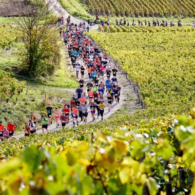 Marathon de Chablis 2026 - Photo 3