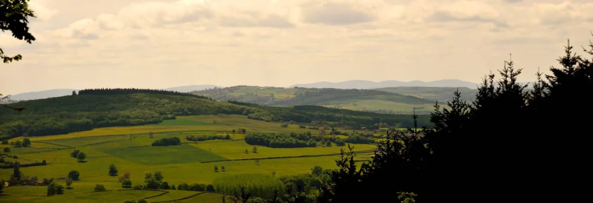 Trail du Revermont 2026