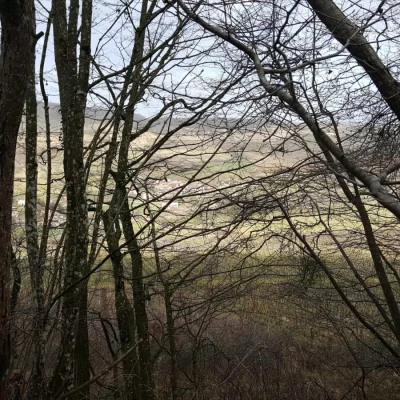 Trail du Mont Saint-Romain 2026 - Photo 1