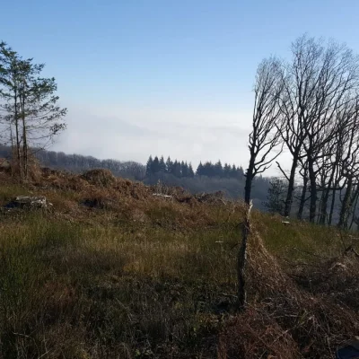 Trail du Mont Saint-Romain 2026 - Photo 3