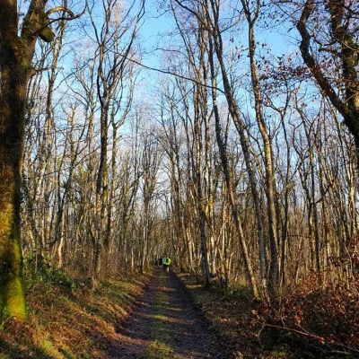 Trail du Mont Saint-Romain 2026 - Photo 4