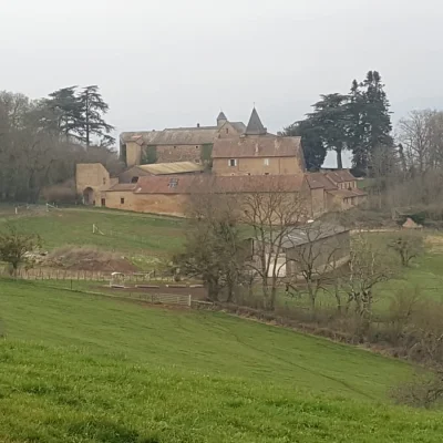 Trail du Mont Saint-Romain 2026 - Photo 5