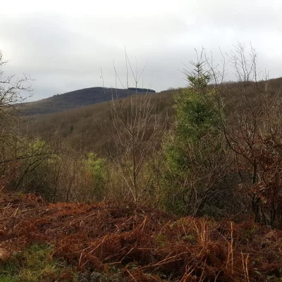 Trail du Mont Saint-Romain 2026 - Photo 7