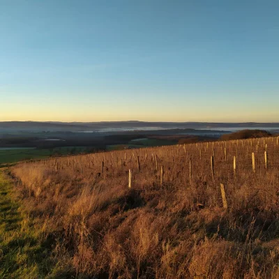 Trail du Mont Saint-Romain 2026 - Photo 9