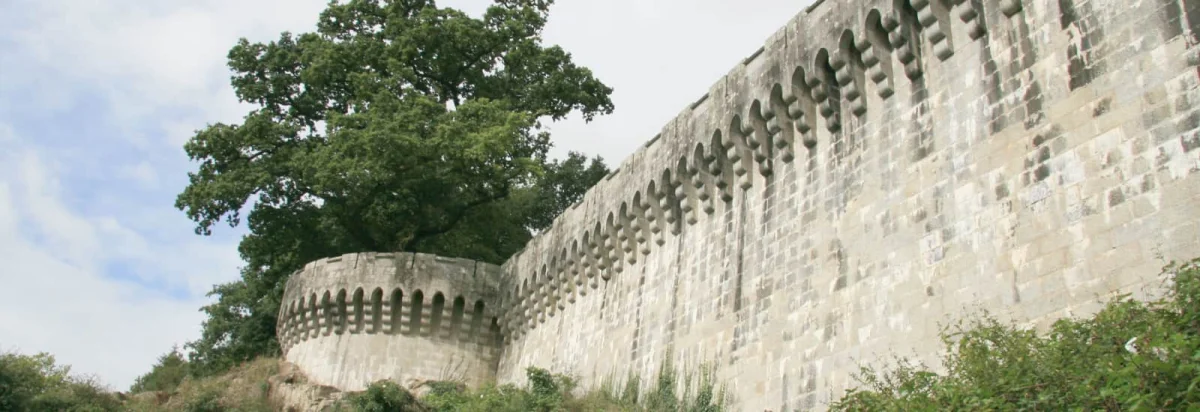 Trail Team du Pélem 2026