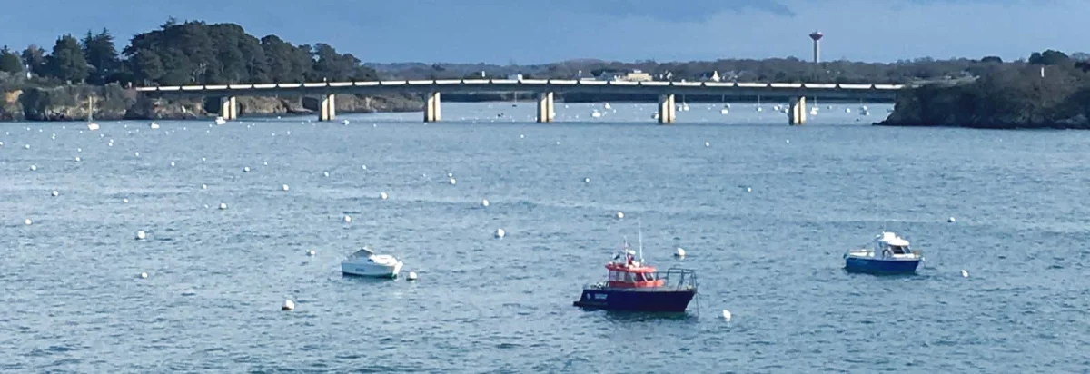 Trail du bois joli 2026