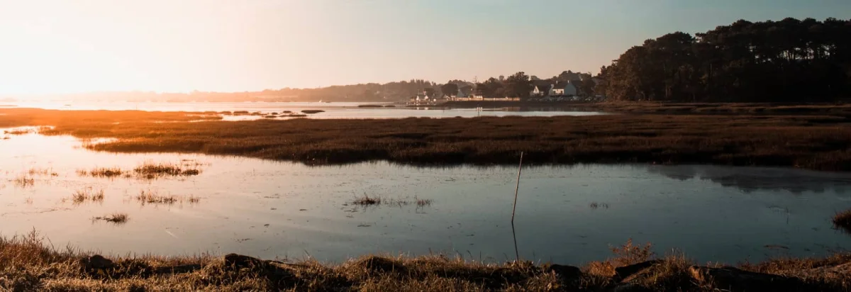 Les 30 km d'Arradon 2026