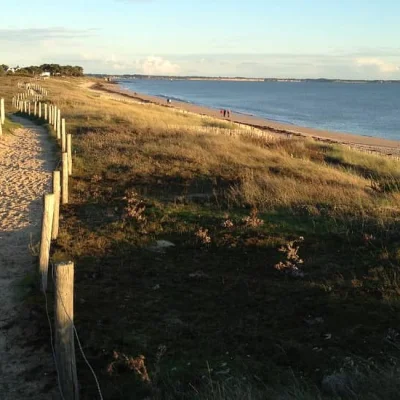 Course et marche contre la violence faite aux femmes 2026
