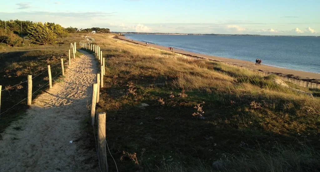 Course et marche contre la violence faite aux femmes 2026