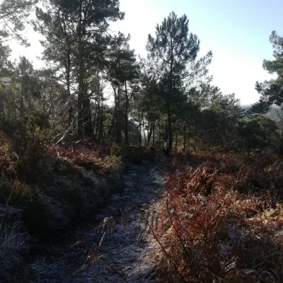 Grand Trail des Vallons de la Vilaine 2026 - Photo 2