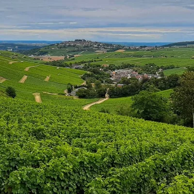 10 Km de Foëcy 2026