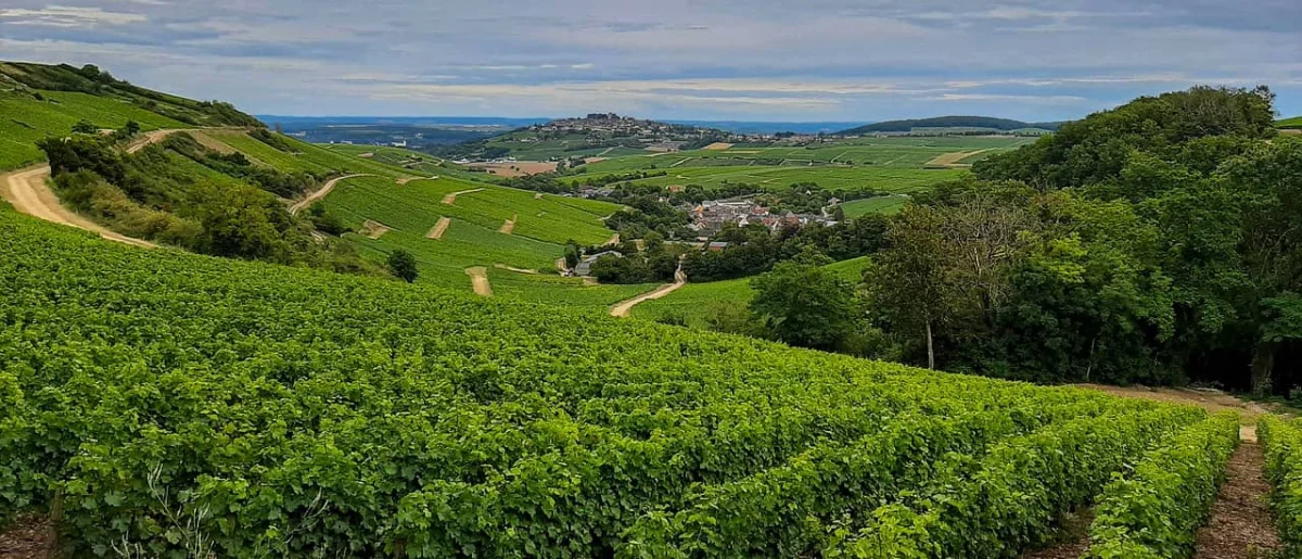 10 Km de Foëcy 2026