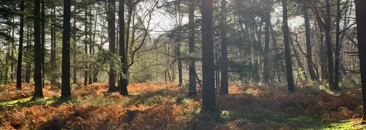 La Pyjama Party Trail 2026